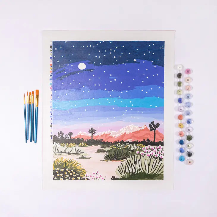 Deluxe Paint by Number Kits