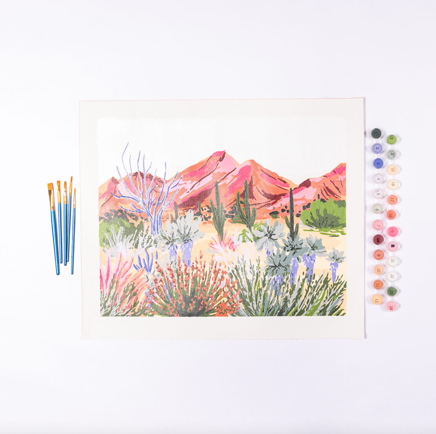 Deluxe Paint by Number Kits